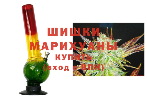прущие грибы Нефтегорск