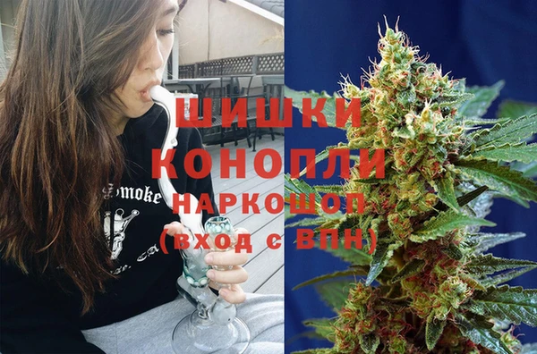 прущие грибы Нефтегорск
