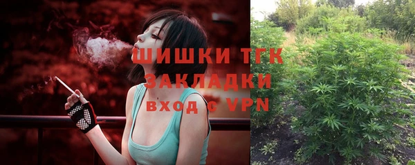 прущие грибы Нефтегорск
