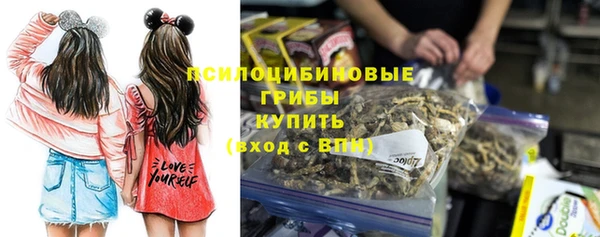 прущие грибы Нефтегорск