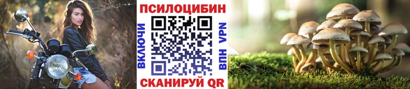 Галлюциногенные грибы MAGIC MUSHROOMS  Купить закладки  Родники 